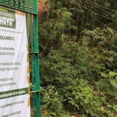 شقة Casita Bosque Briones خالابا المظهر الخارجي الصورة
